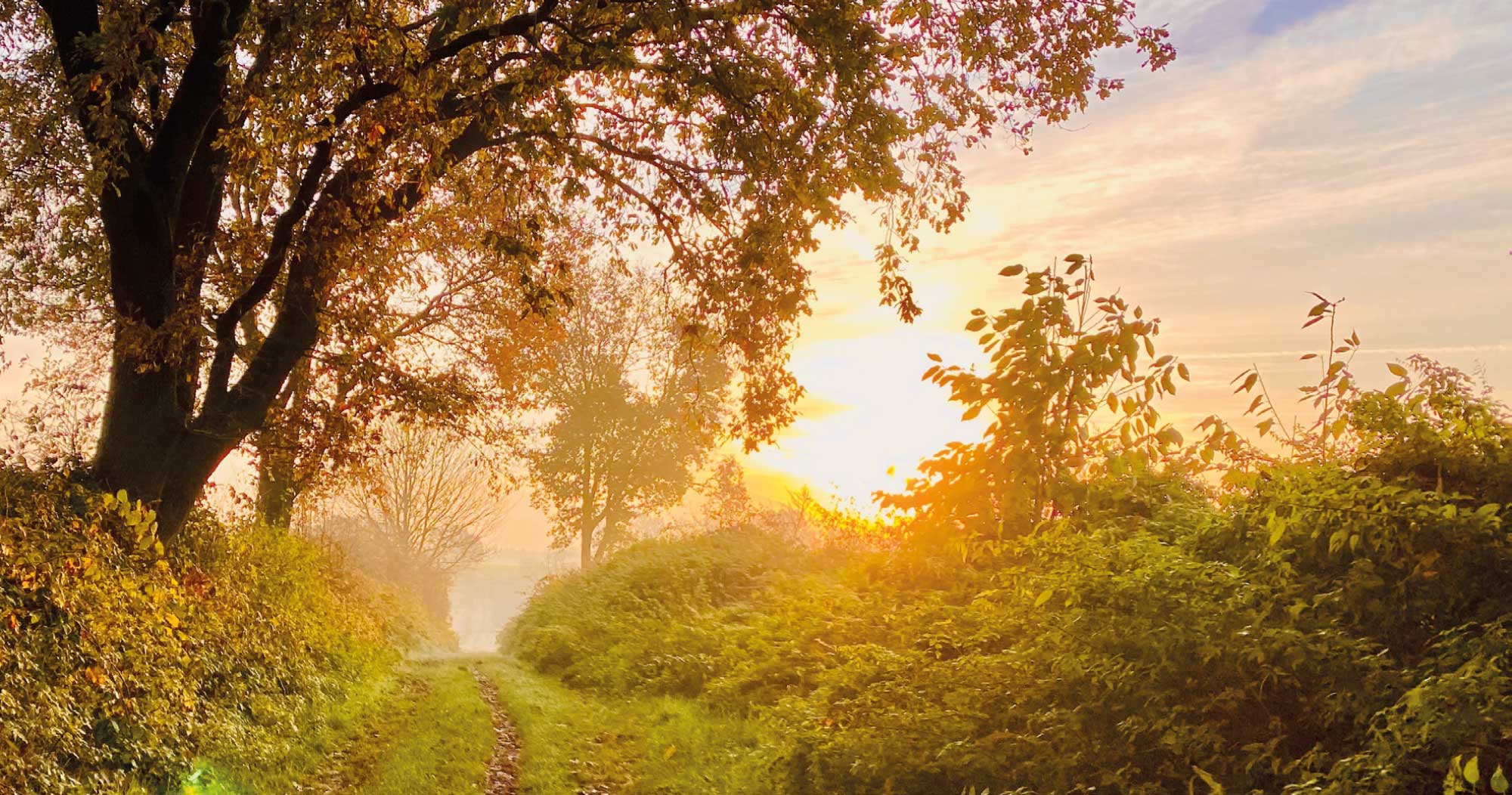 Accelerator Park Image